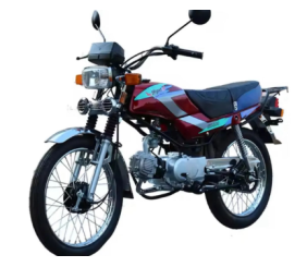 Gasoline Adult Mini Motorcycle
