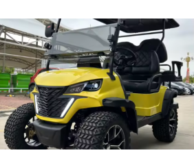 New Design 2/4/6 Seater Golf Carts 48v/72v Electric for Family and Hunting Upgraded Cool Product